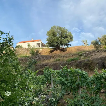 Casa Da Ribeirinha Feriehus
