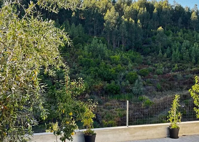 Casa Da Ribeirinha * Sertã