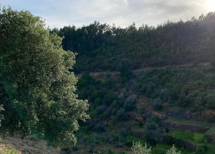 Σπίτι διακοπών Casa Da Ribeirinha Sertã