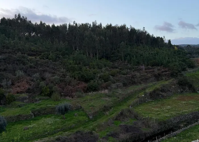 Casa Da Ribeirinha 度假居 Sertã