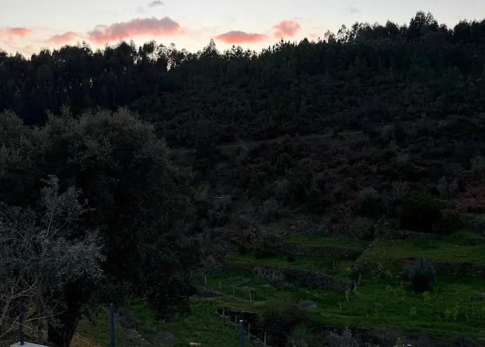 Casa Da Ribeirinha *